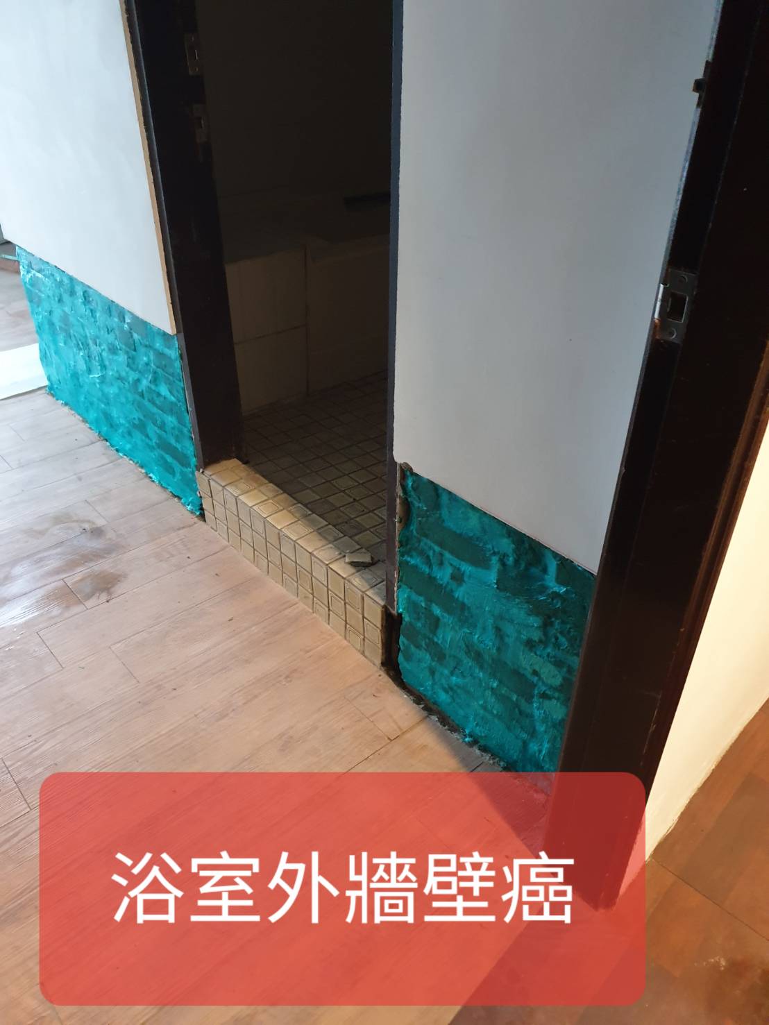 浴室外牆壁癌2---祥輝修繕