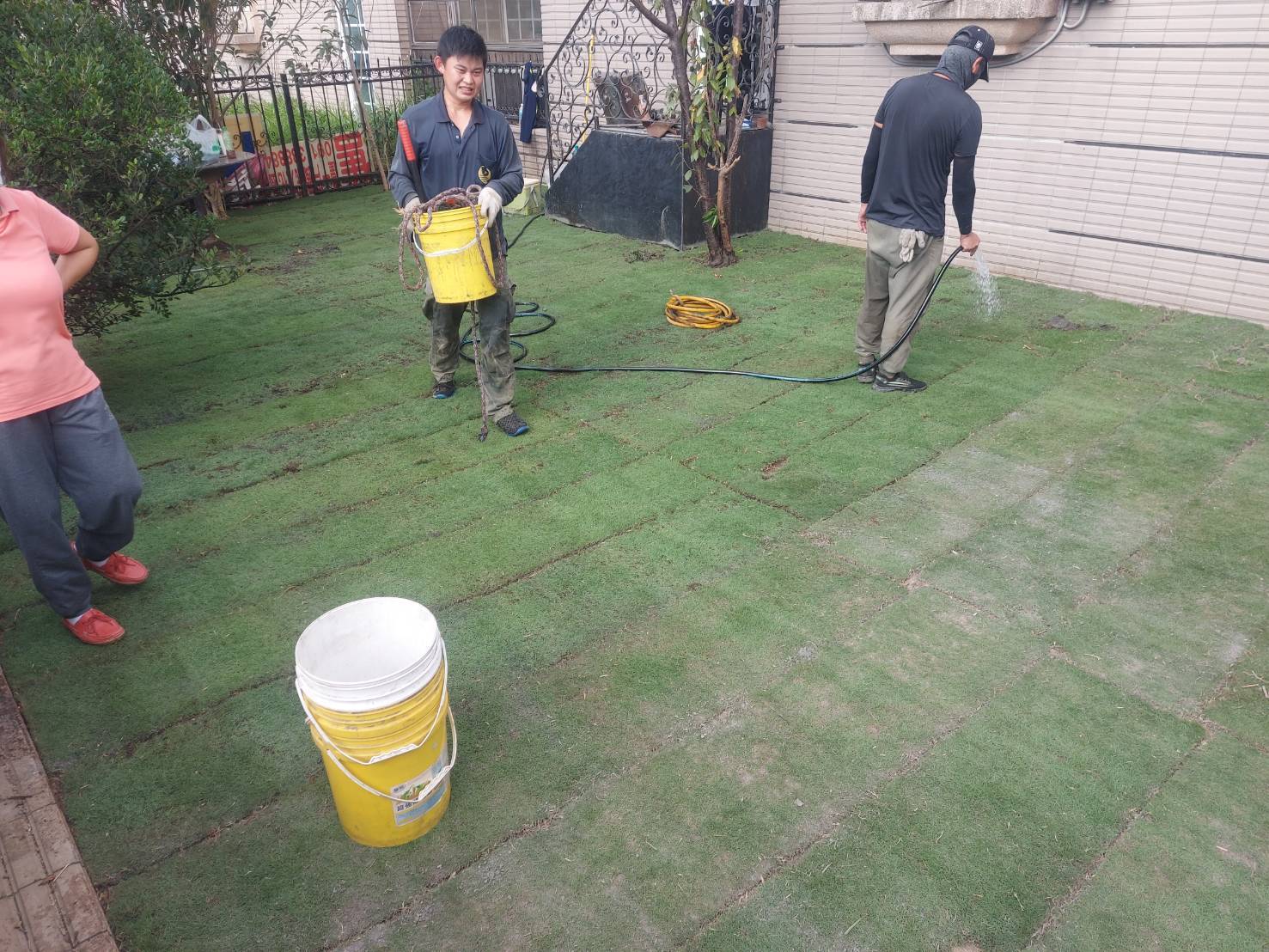 庭園整地鋪草皮工程