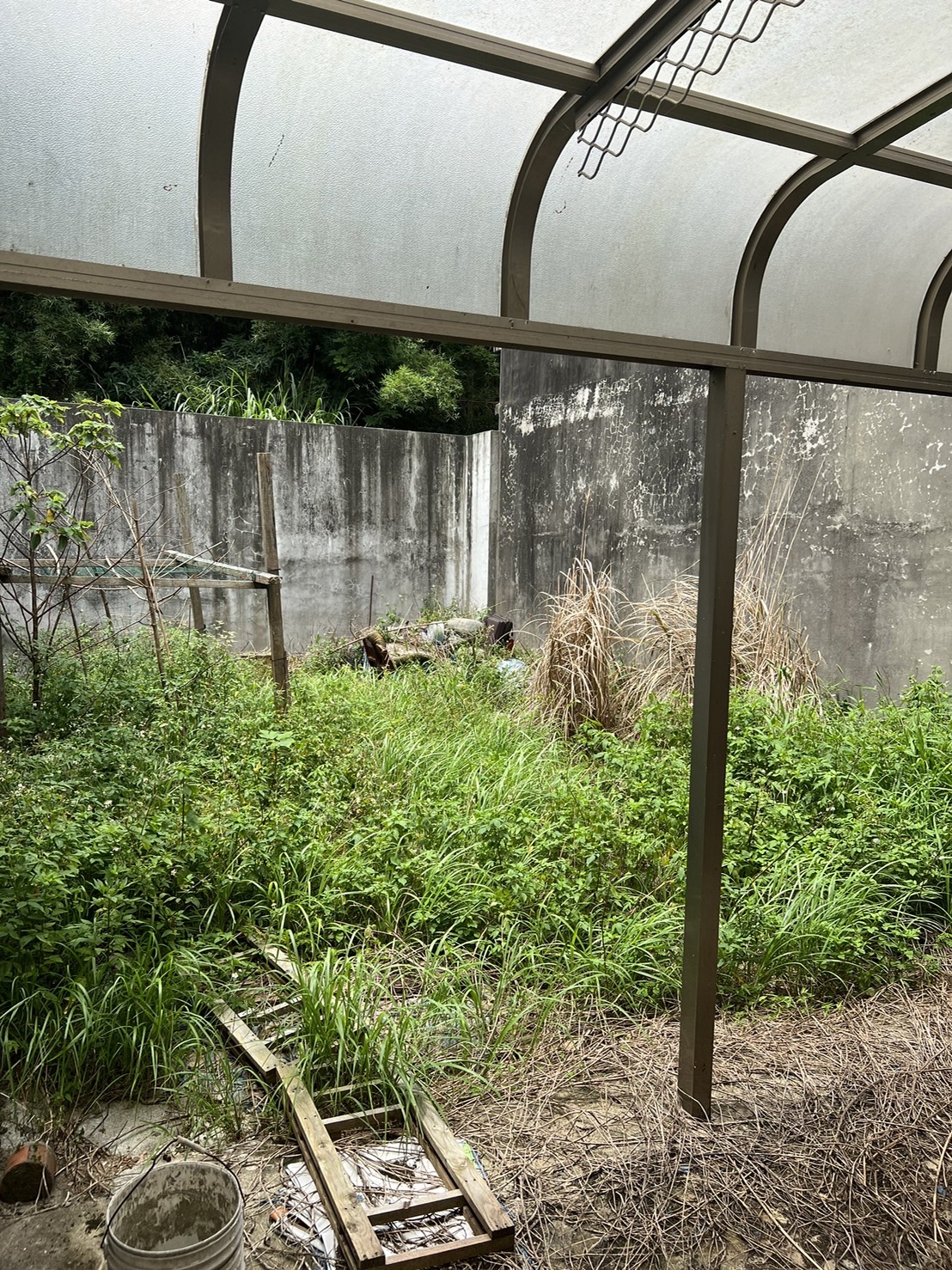 廢棄物清運整地及鋪草皮