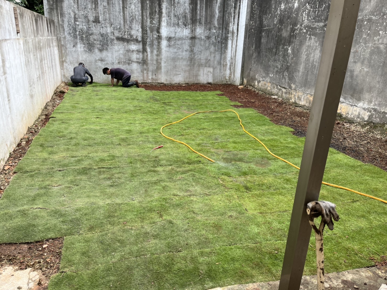 廢棄物清運整地及鋪草皮