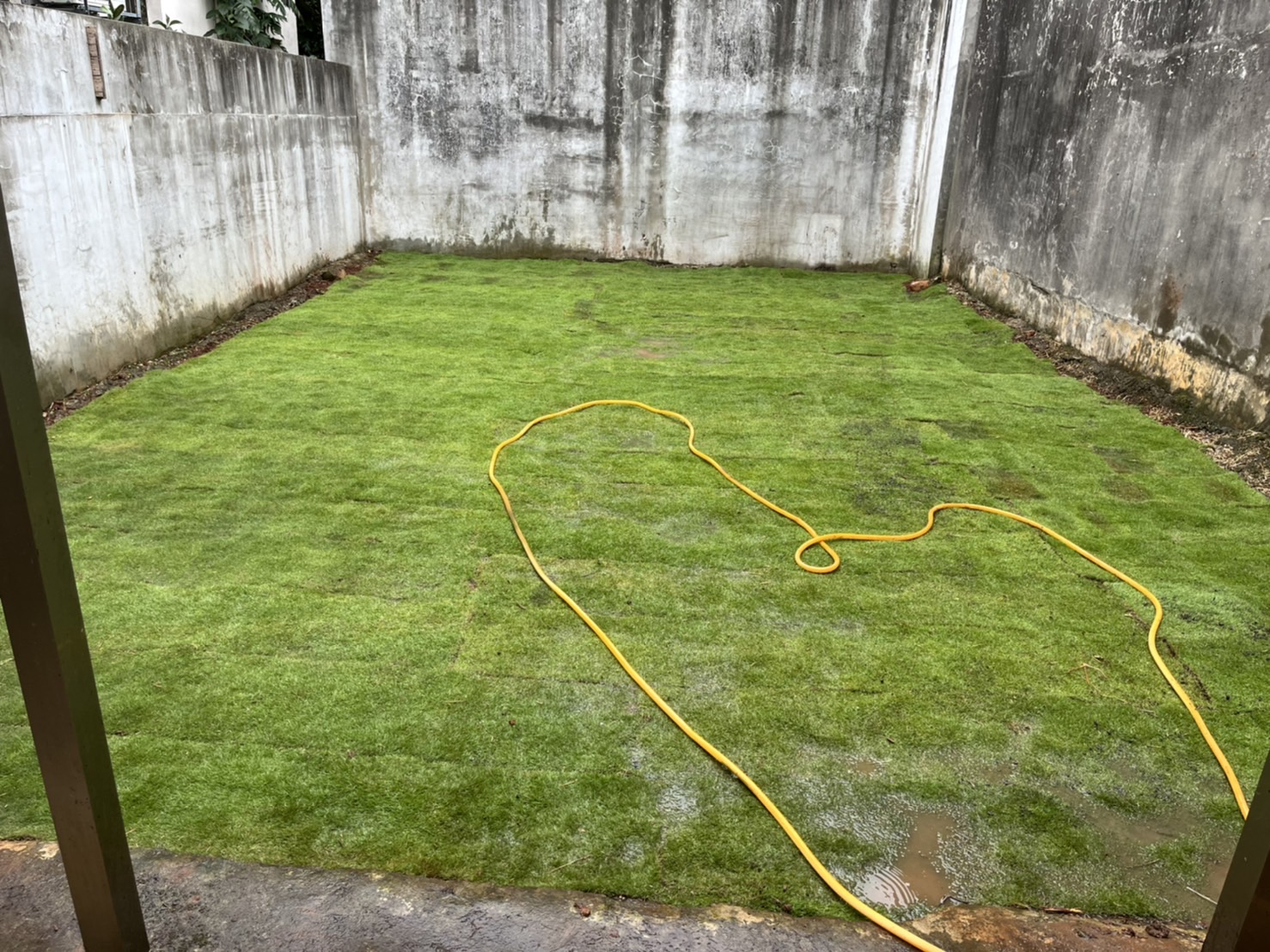 廢棄物清運整地及鋪草皮