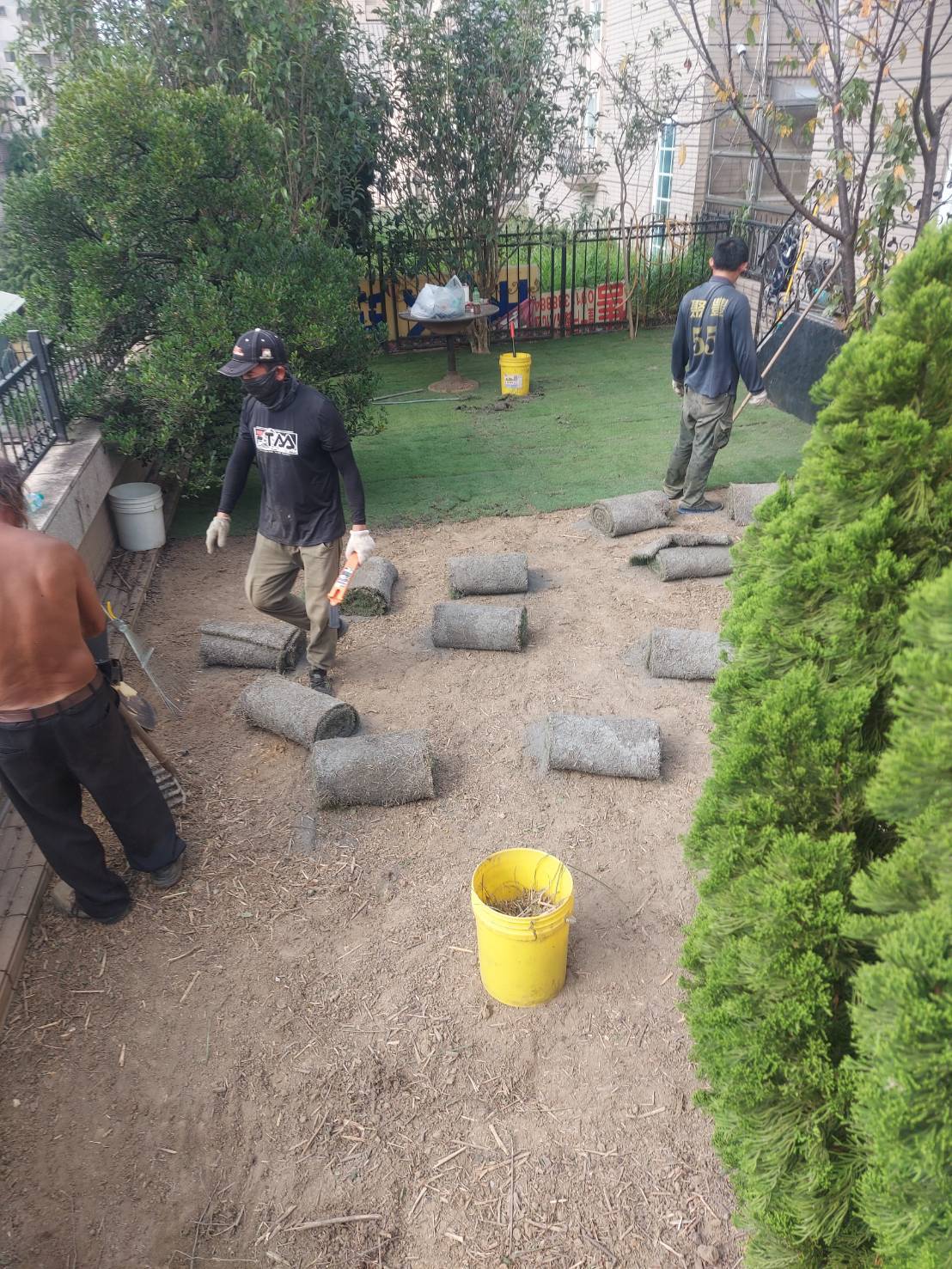 庭園整地鋪草皮工程