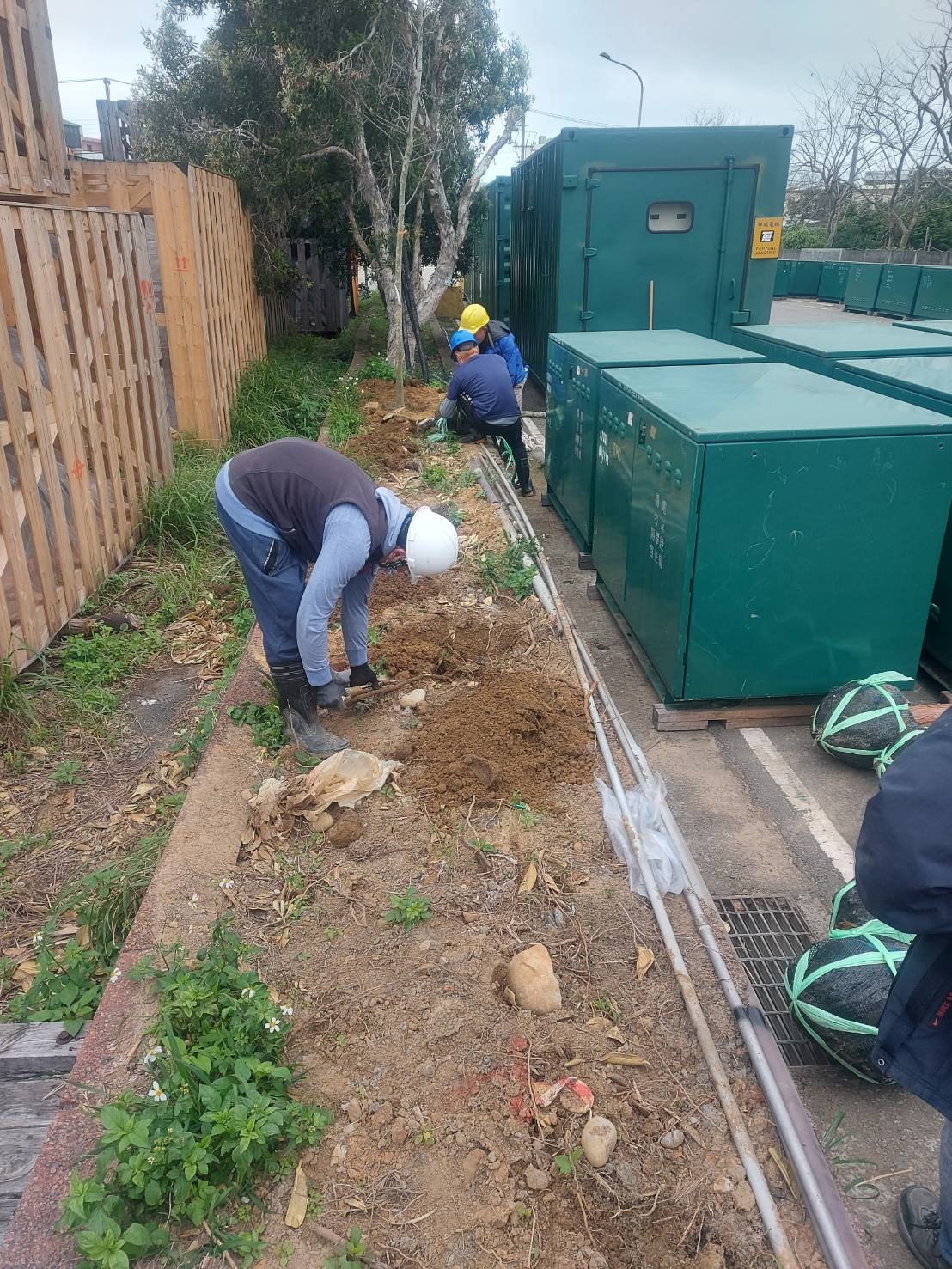 種植樹木及綁束工程