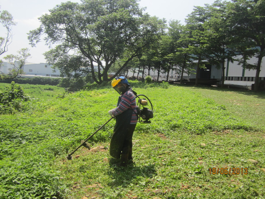園藝除草