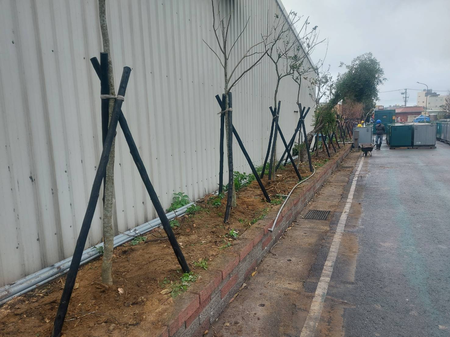 種植樹木及綁束工程