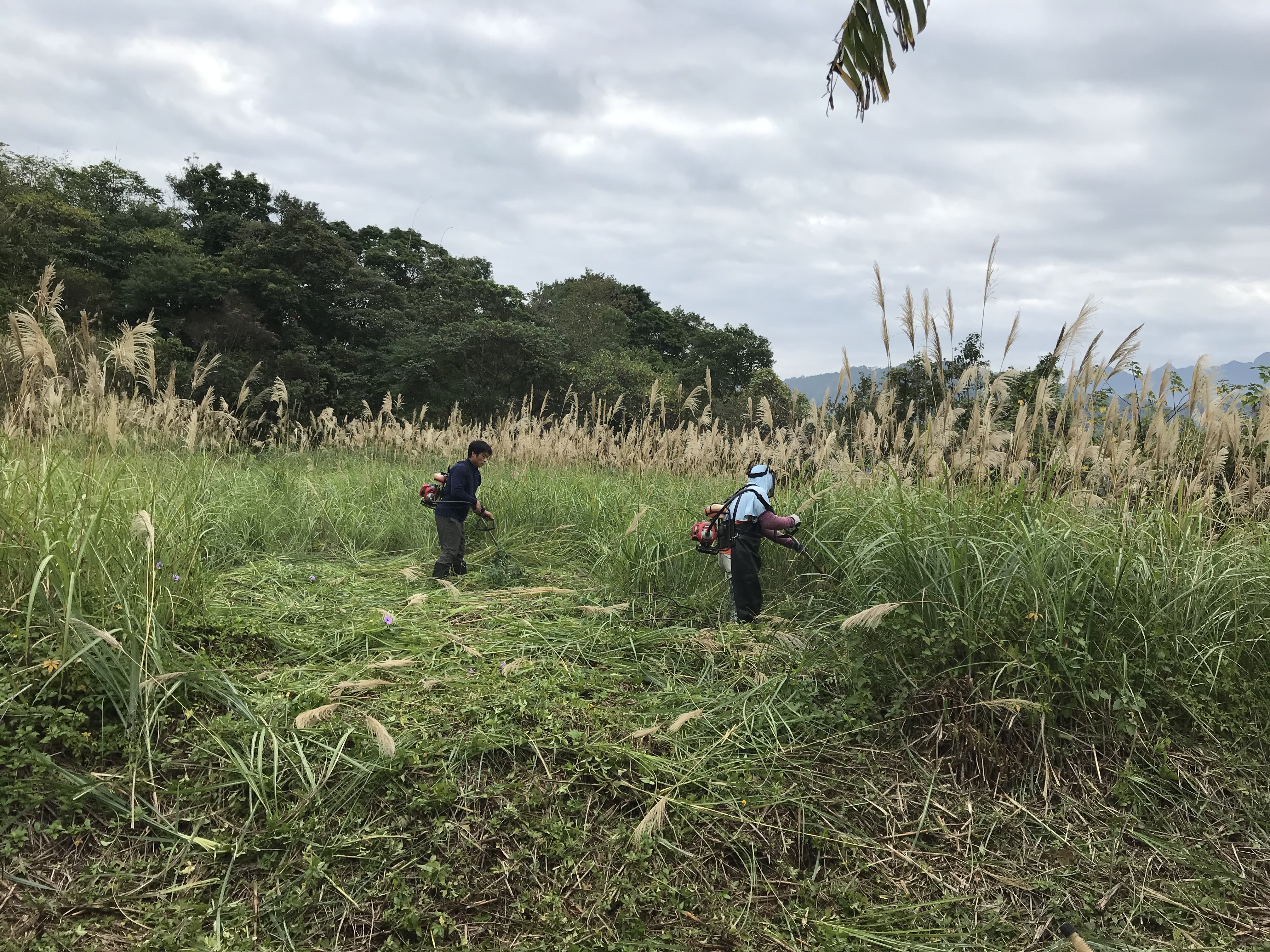 空地除草割草整地