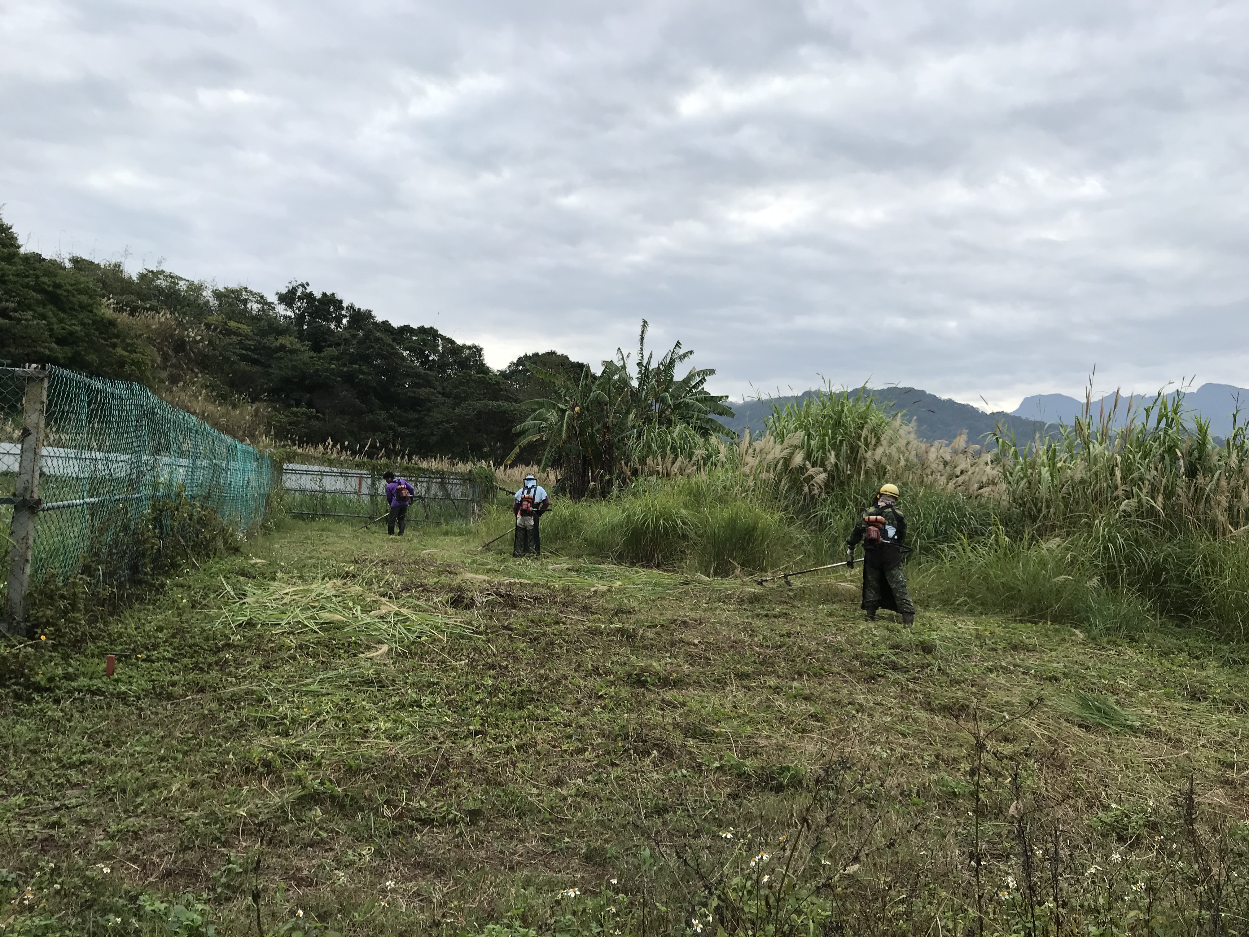 空地除草割草整地