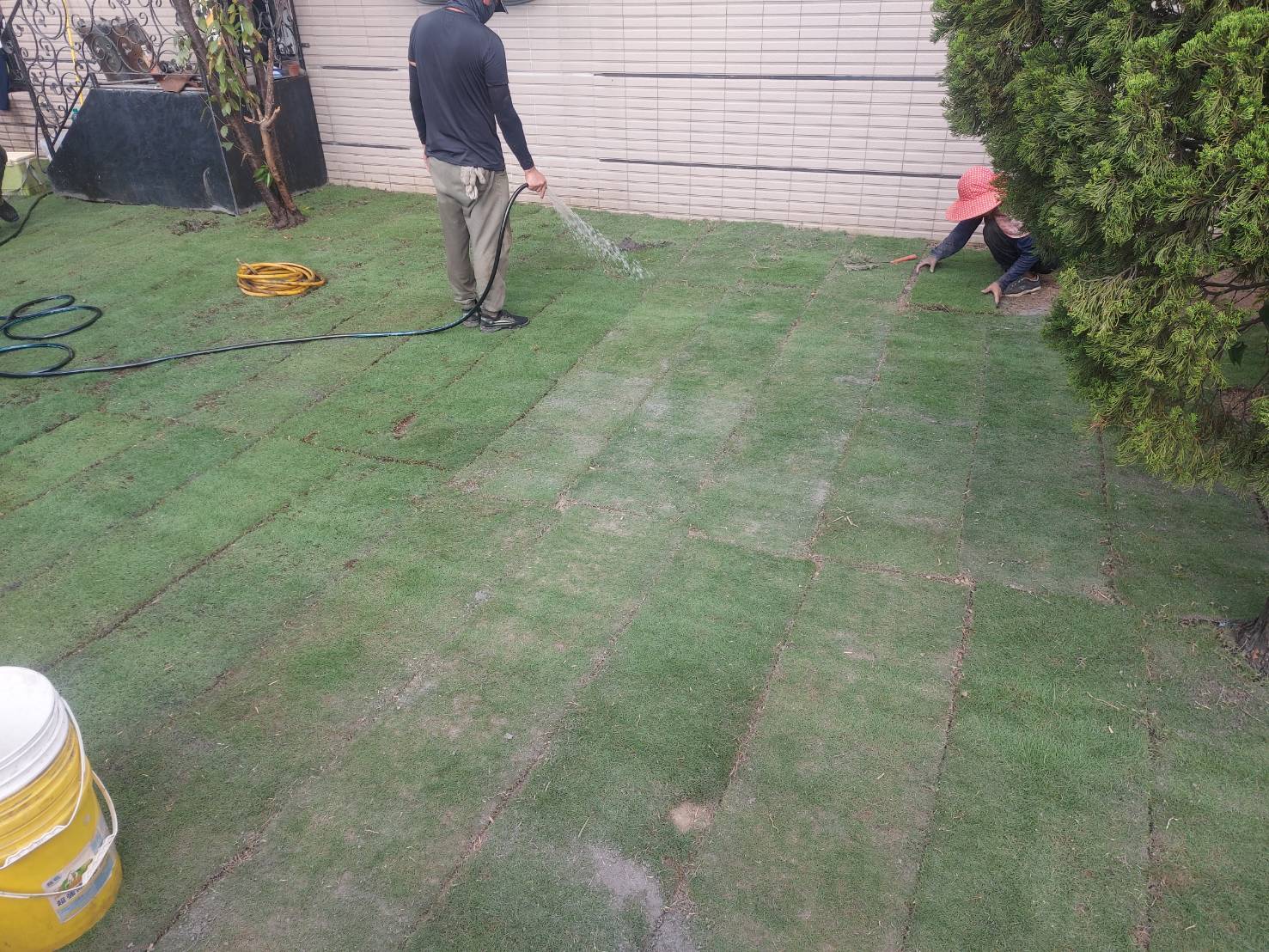 庭園整地鋪草皮工程