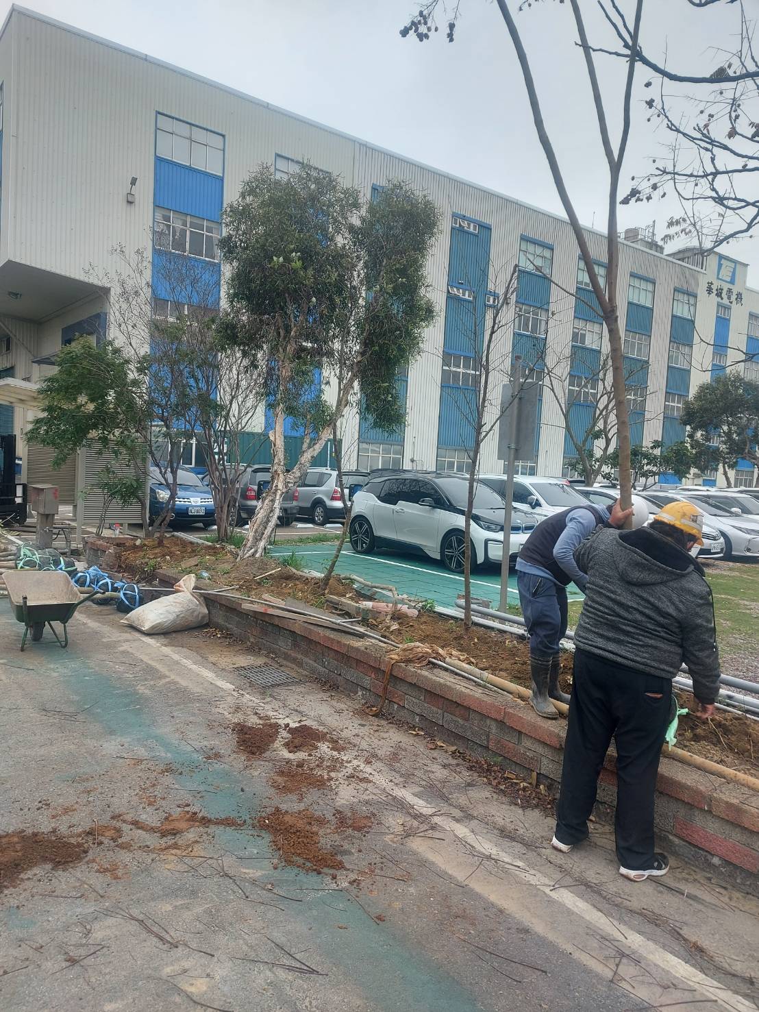 種植樹木及綁束工程