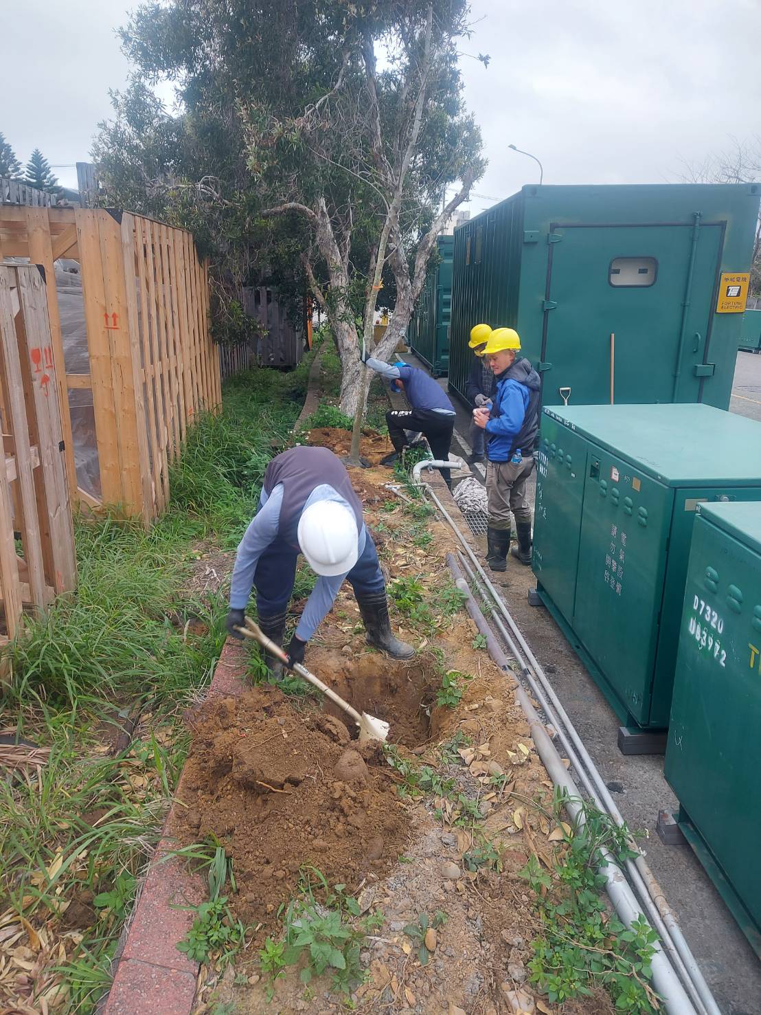 種植樹木及綁束工程