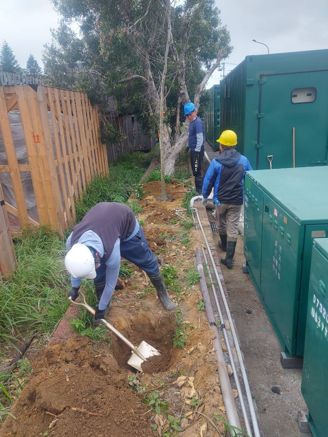 種植樹木及綁束工程