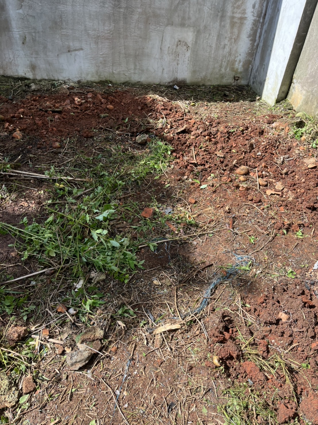 廢棄物清運整地及鋪草皮