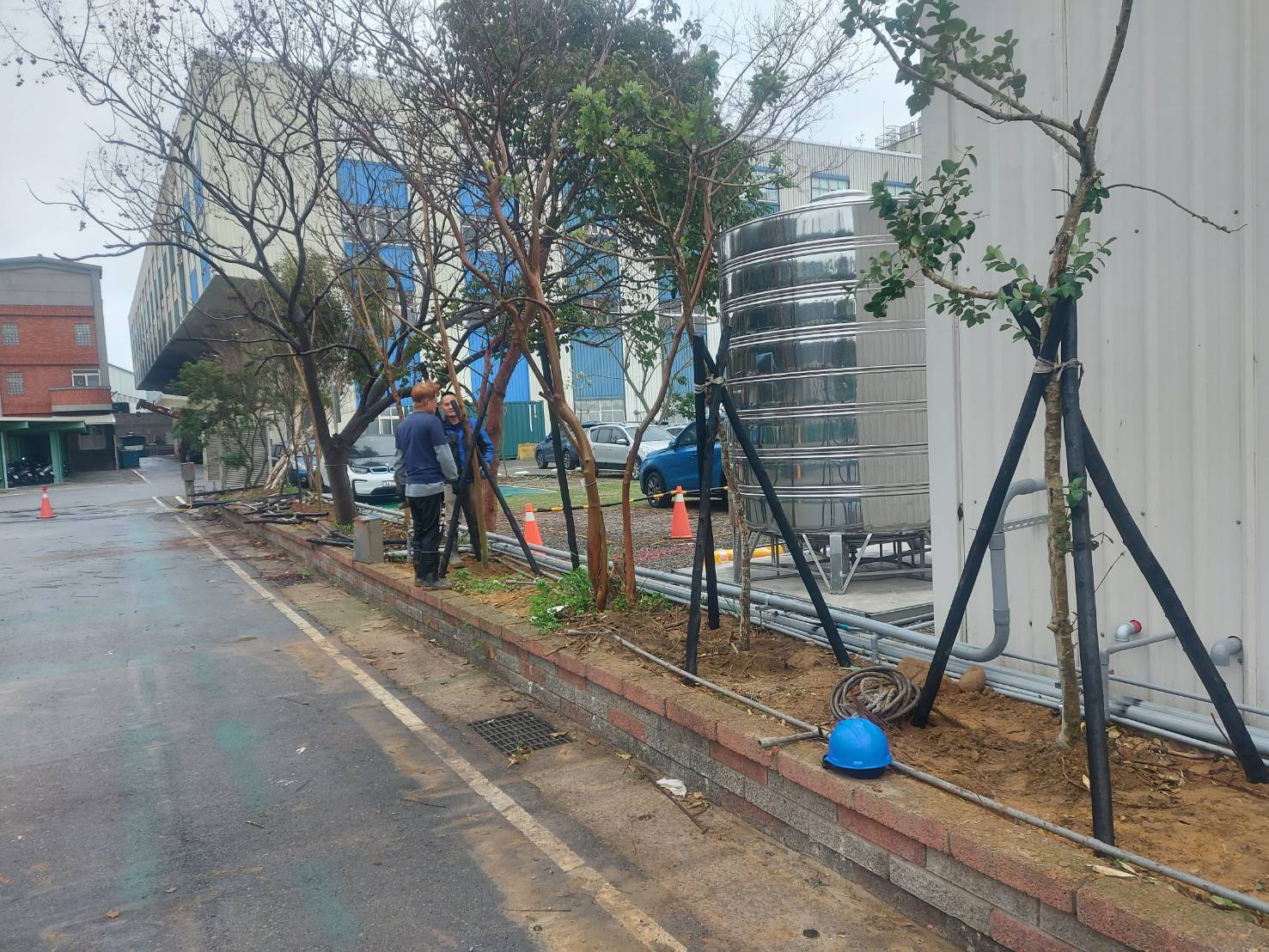 種植樹木及綁束工程