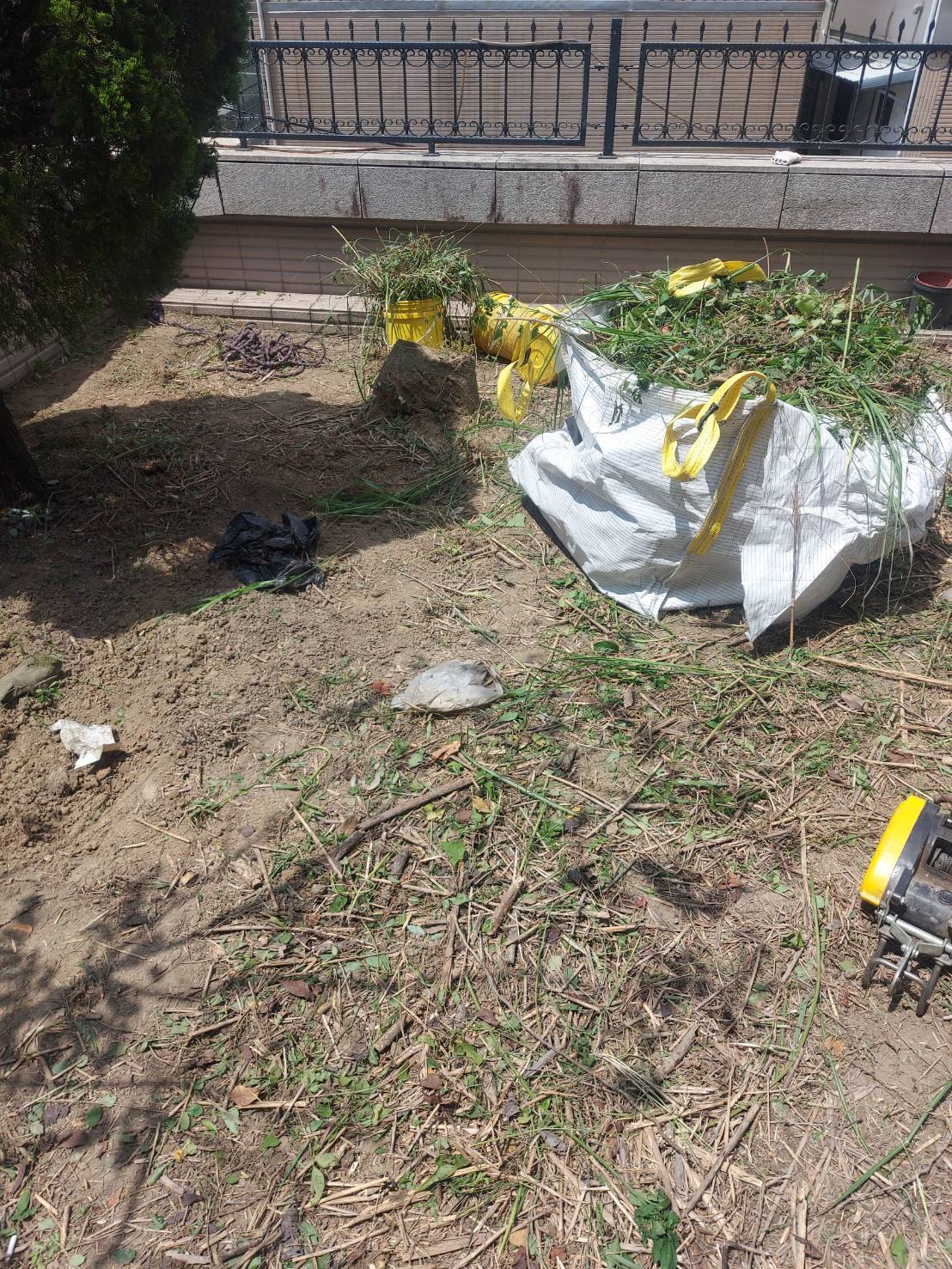 庭園整地鋪草皮工程