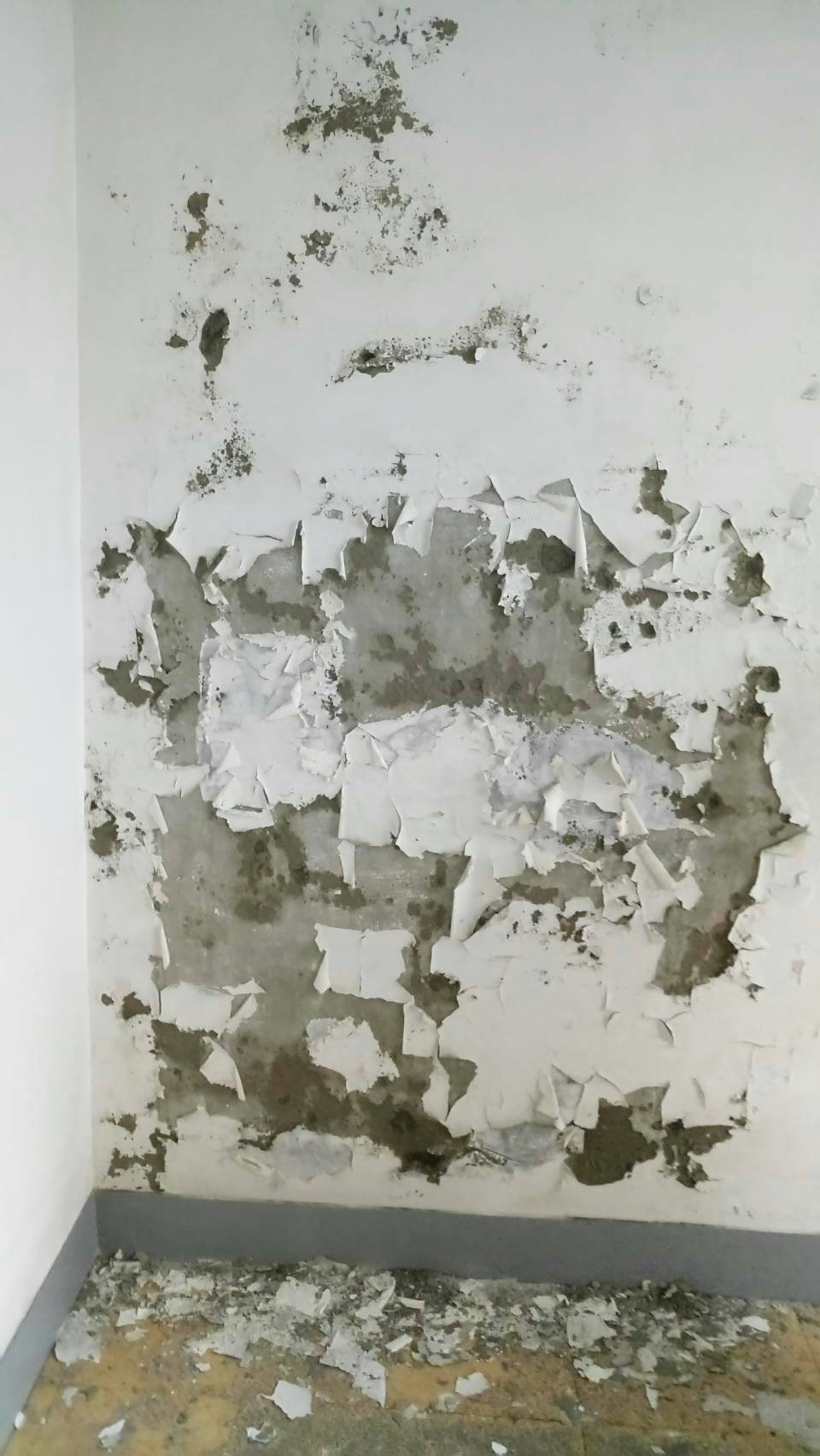 屏東晉祿建築工程實例42