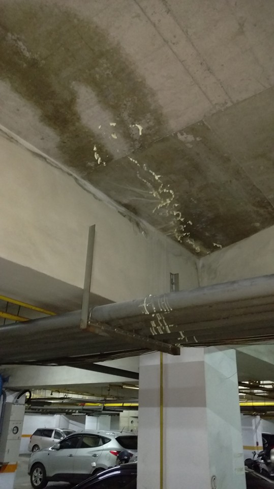 永康東方荷蘭大樓地下室高壓灌注抓漏