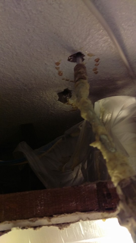 崇善八街天花板抓漏