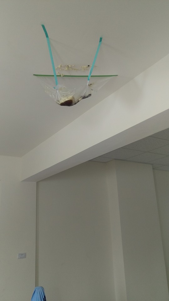 高雄後昌路六樓透天從一樓到六樓窗戶樓梯間抓漏