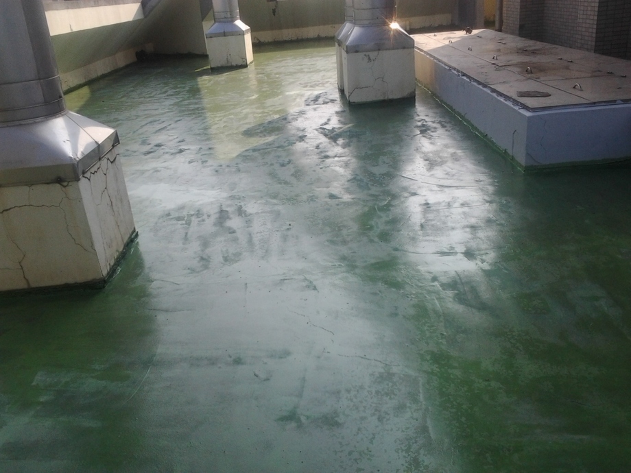 屋頂PU防水-PU中塗3