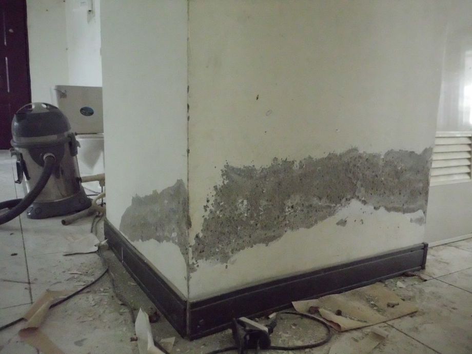 壁癌處理-施工中