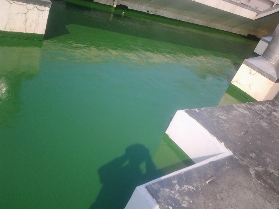 屋頂PU防水-PU完成面2