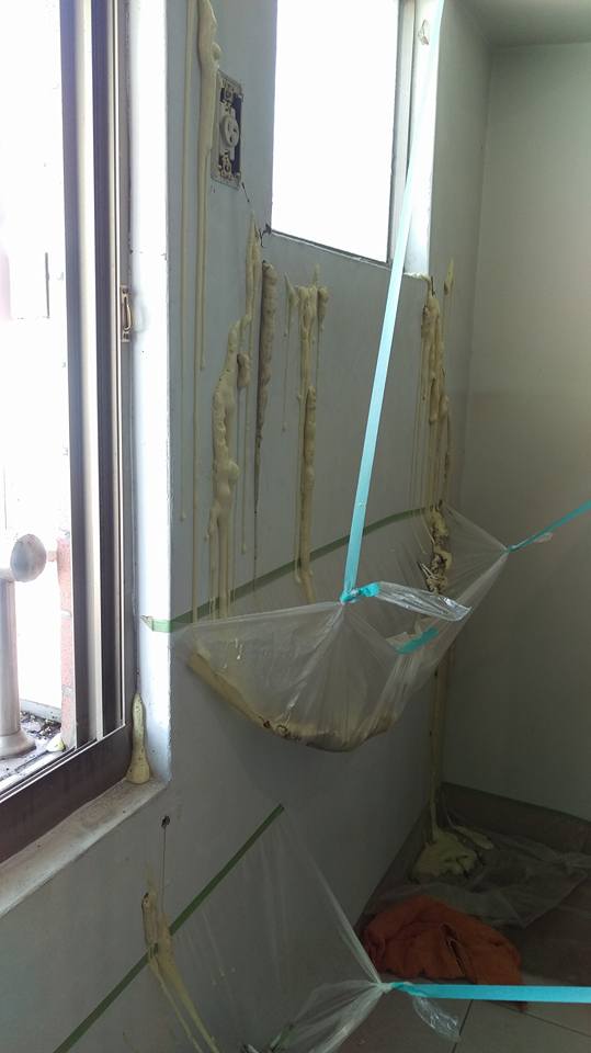 永康中華路東方荷蘭大樓抓漏