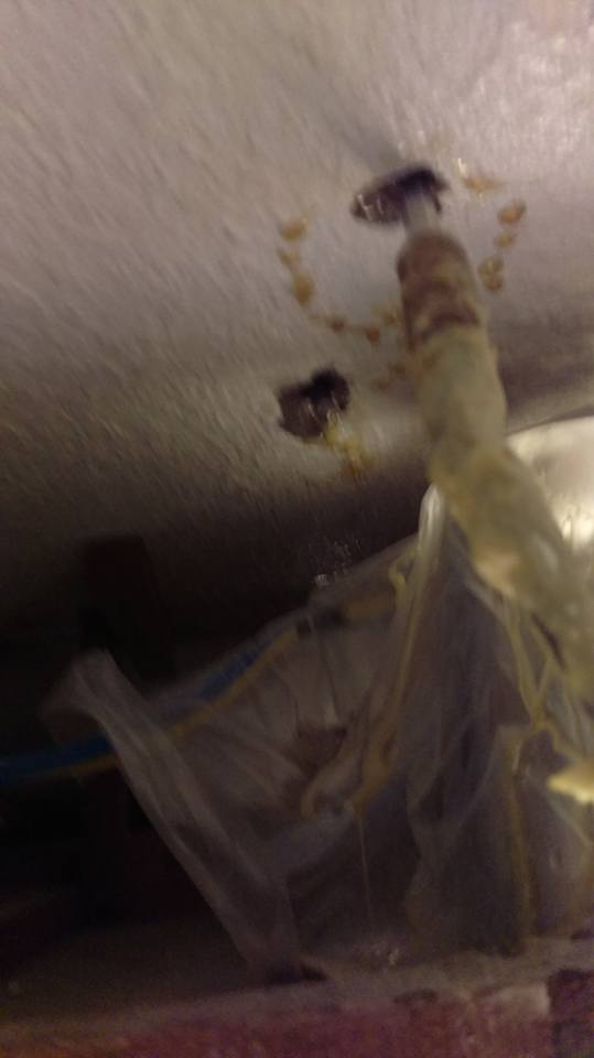 崇善八街天花板抓漏