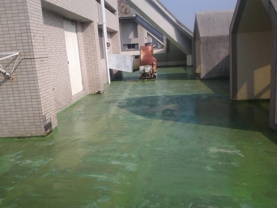 屋頂PU防水-PU中塗2