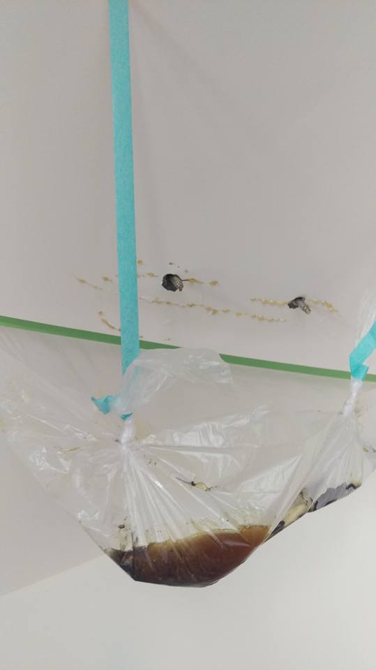 高雄後昌路六樓透天從一樓到六樓窗戶樓梯間抓漏