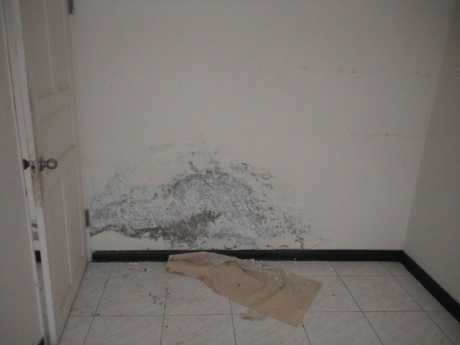 壁癌處理-施工中