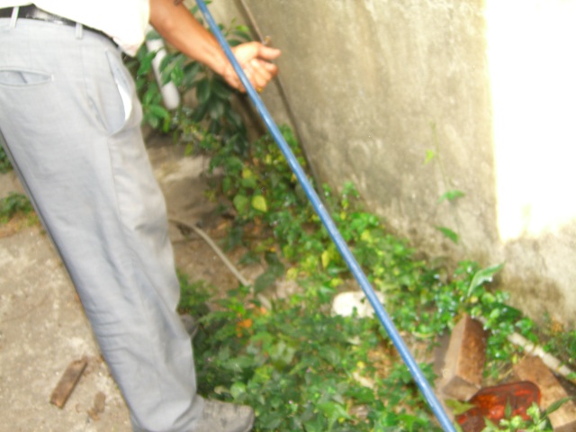 白蟻土壤防治消毒處理