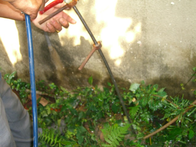 白蟻土壤防治消毒