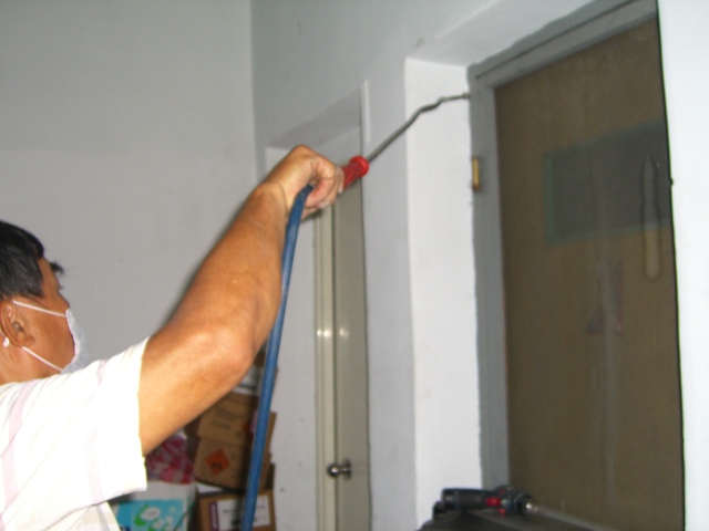 裝潢結構白蟻處理