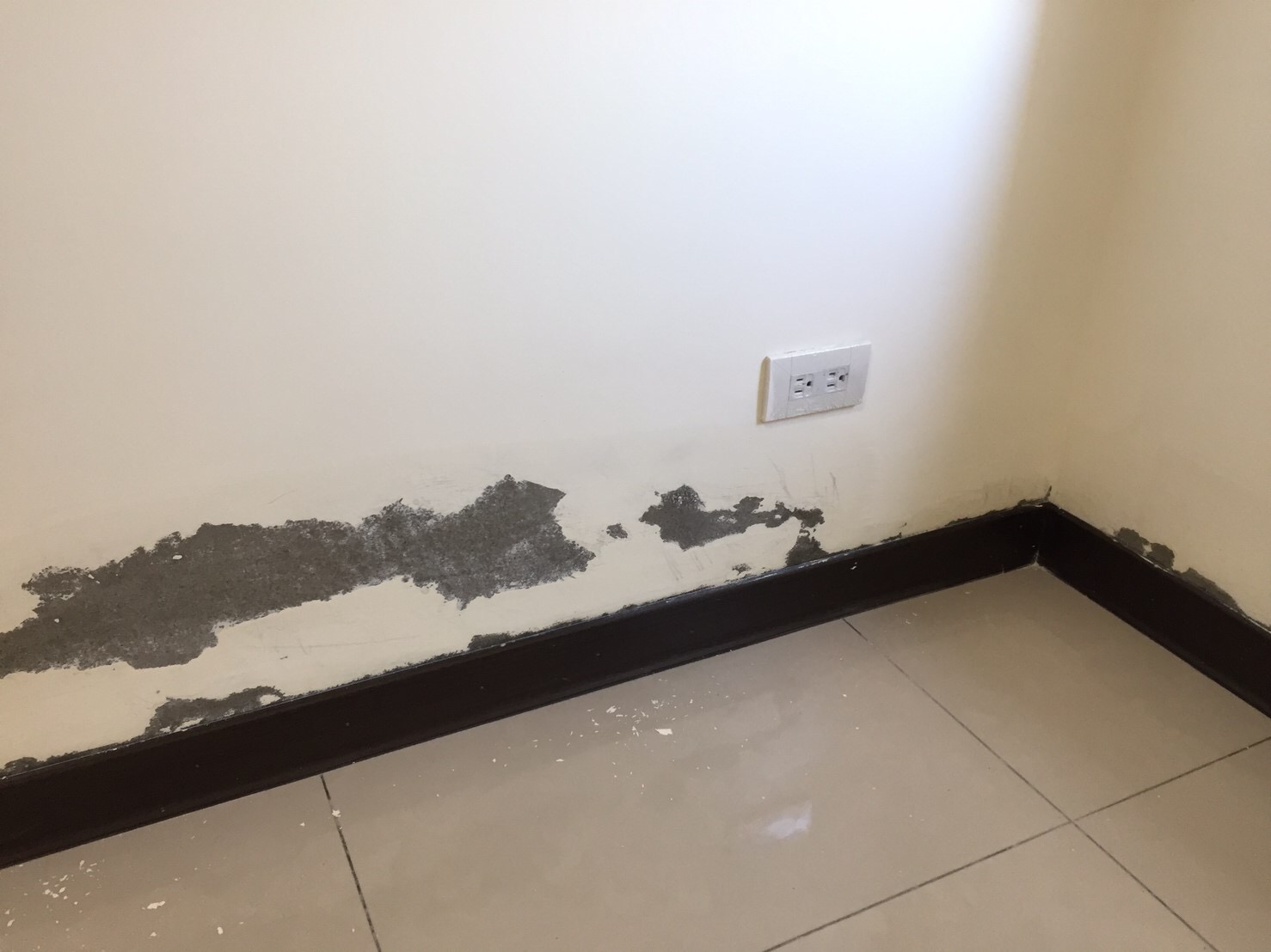 太保遠雄國寶壁癌處理