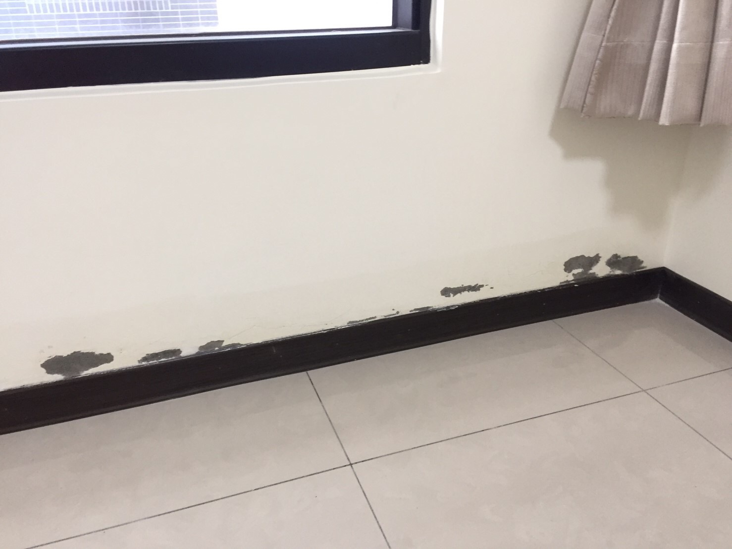 太保遠雄國寶壁癌處理