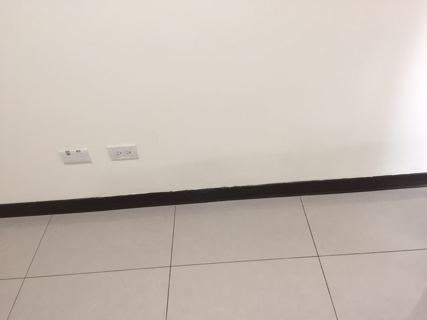 太保遠雄國寶壁癌處理