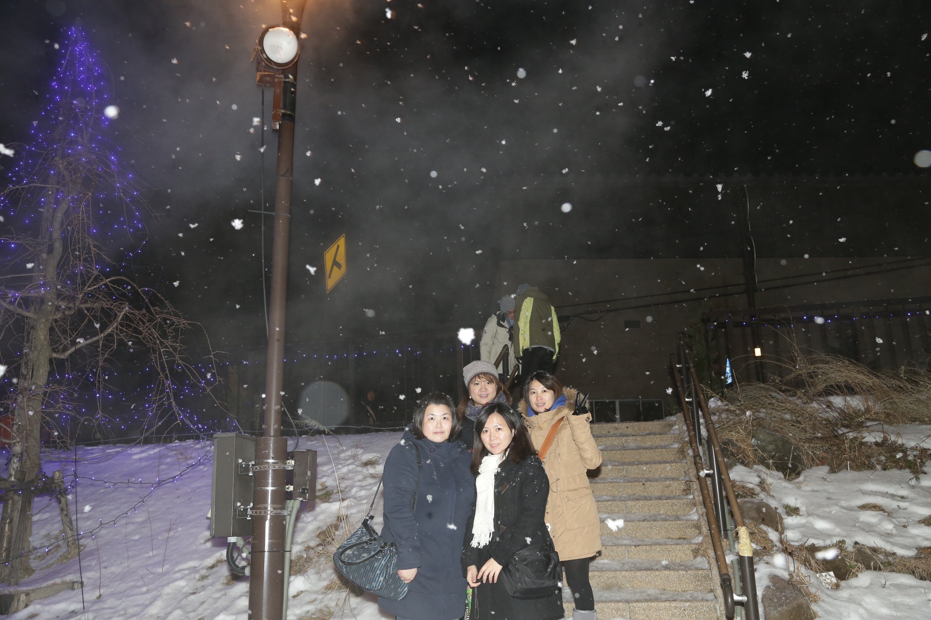 101年度員旅-日本