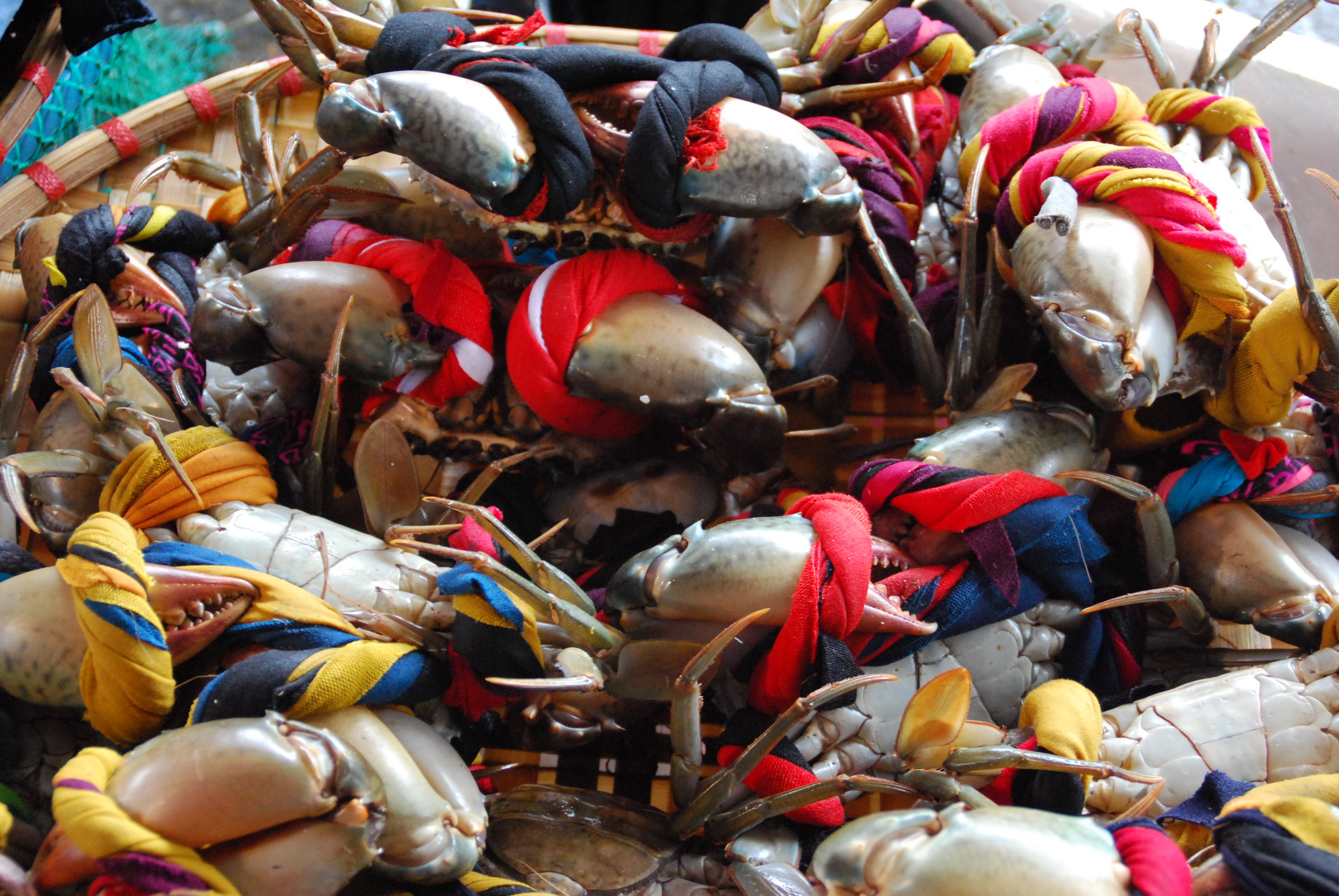 102年度員旅-越南