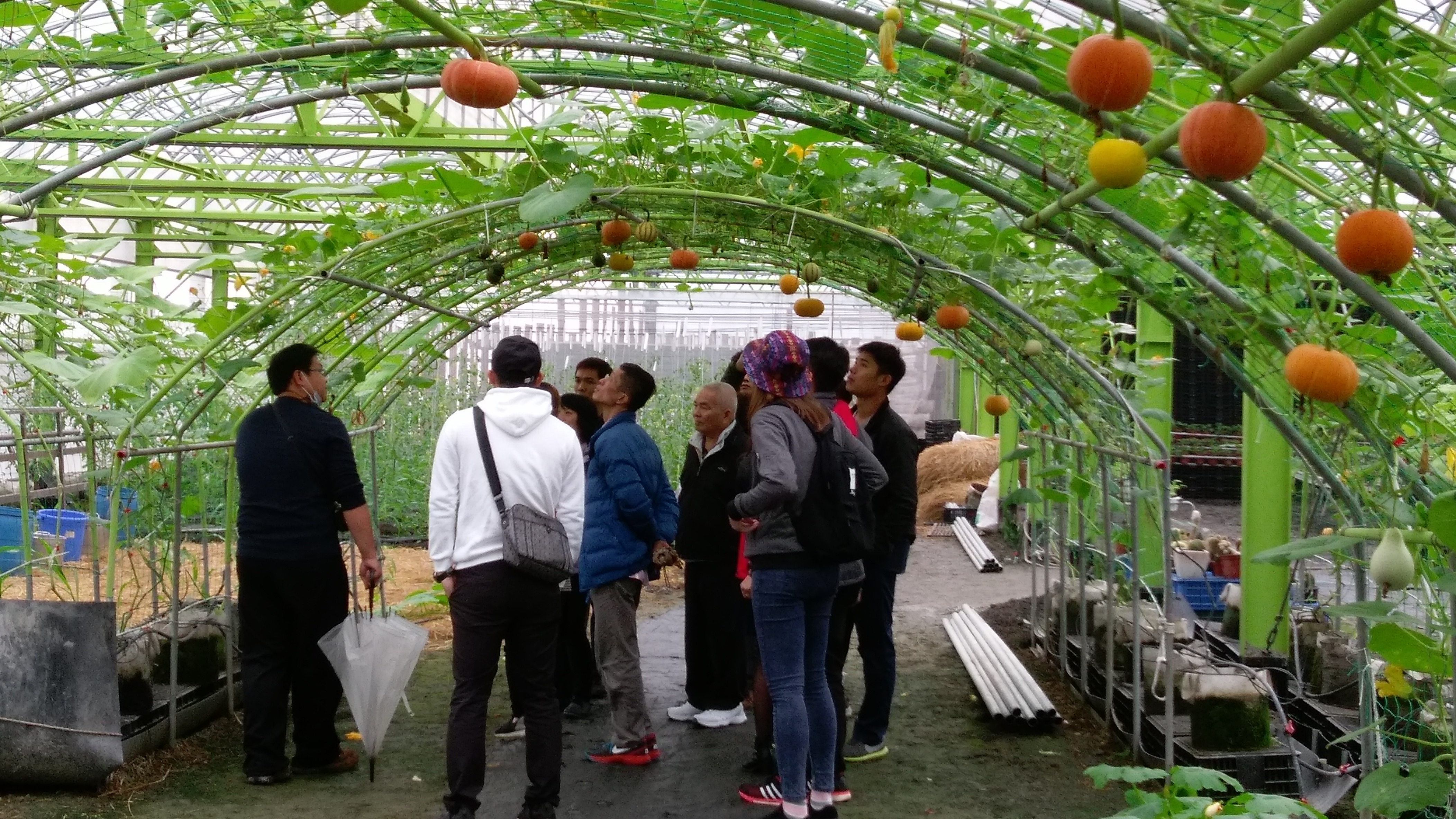 105年宜蘭三天二夜