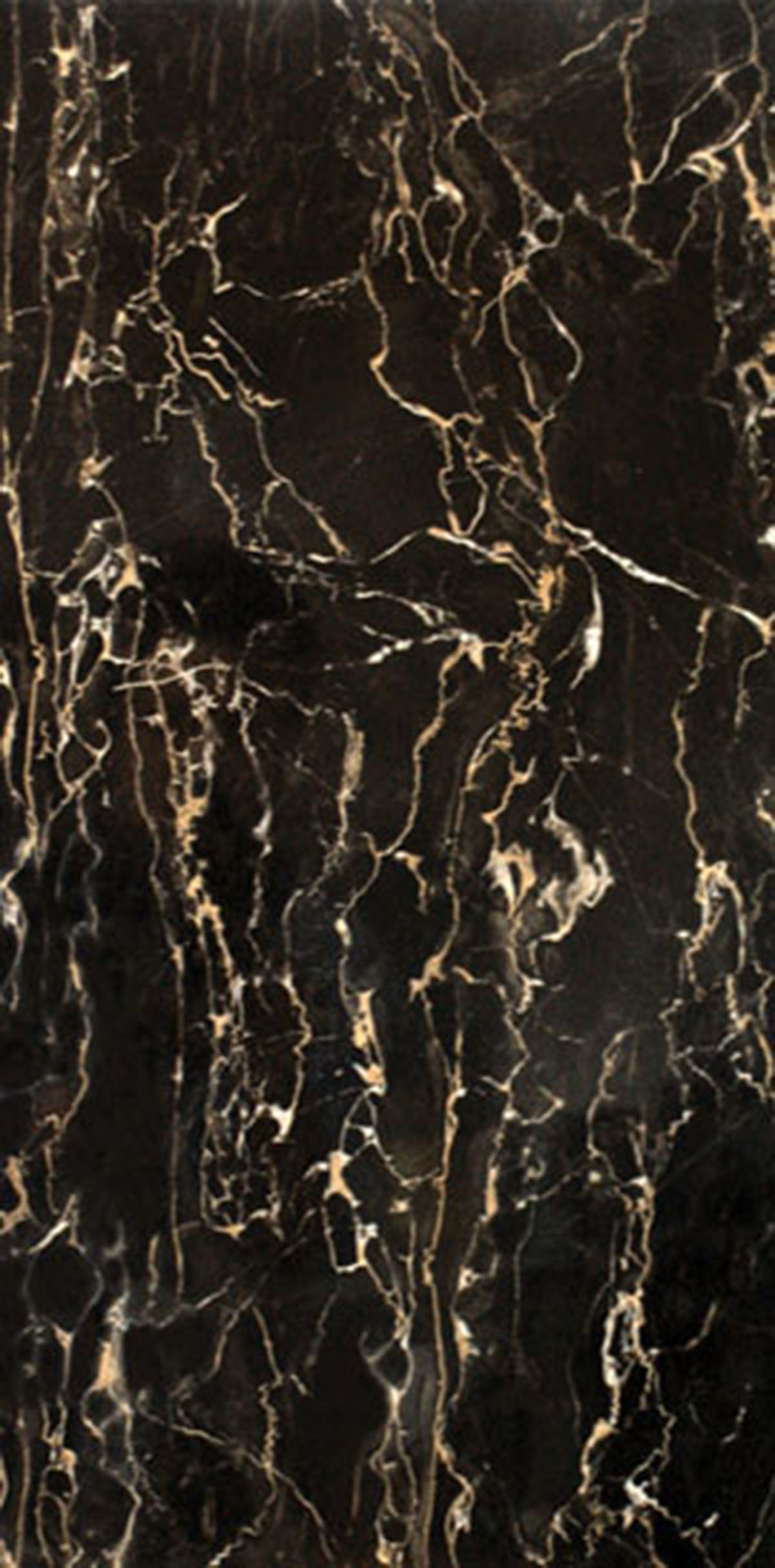 W60543R_Portoro_Nero