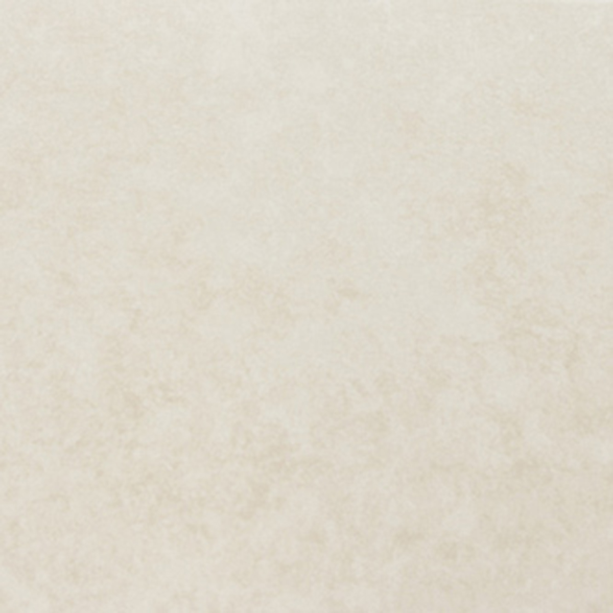 G447313_Chrysant_Beige