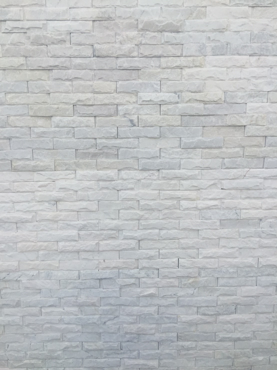 銀狐白香菇面5x20