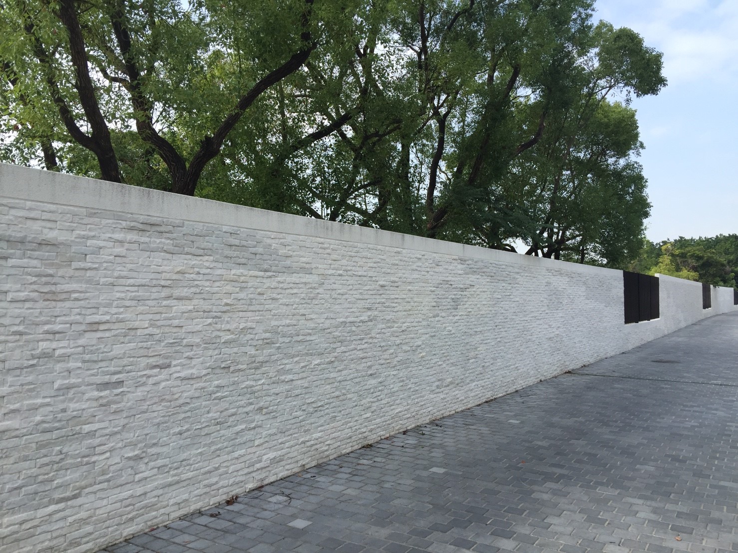 銀狐白香菇面5x20