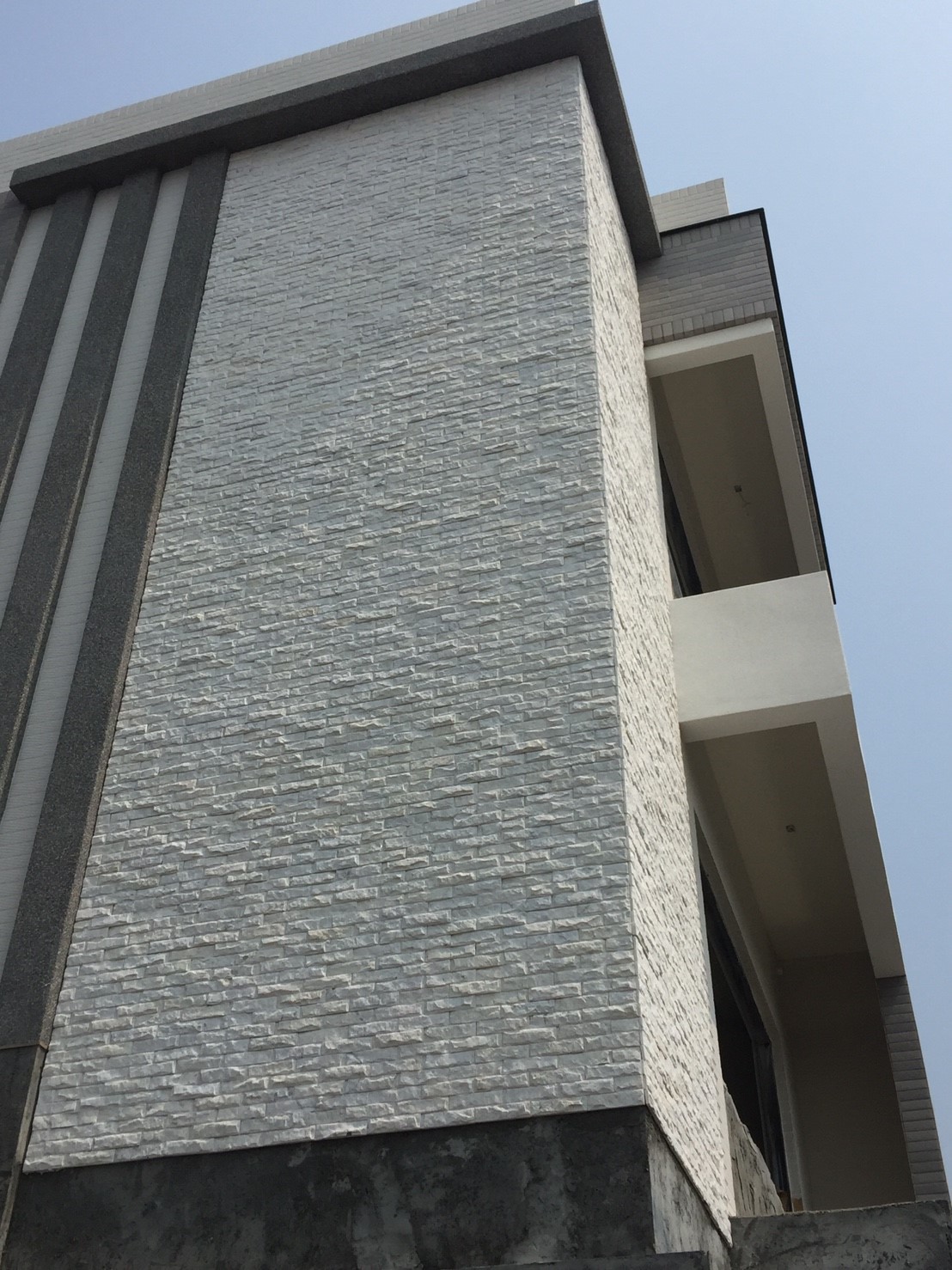 銀狐白香菇面5x20