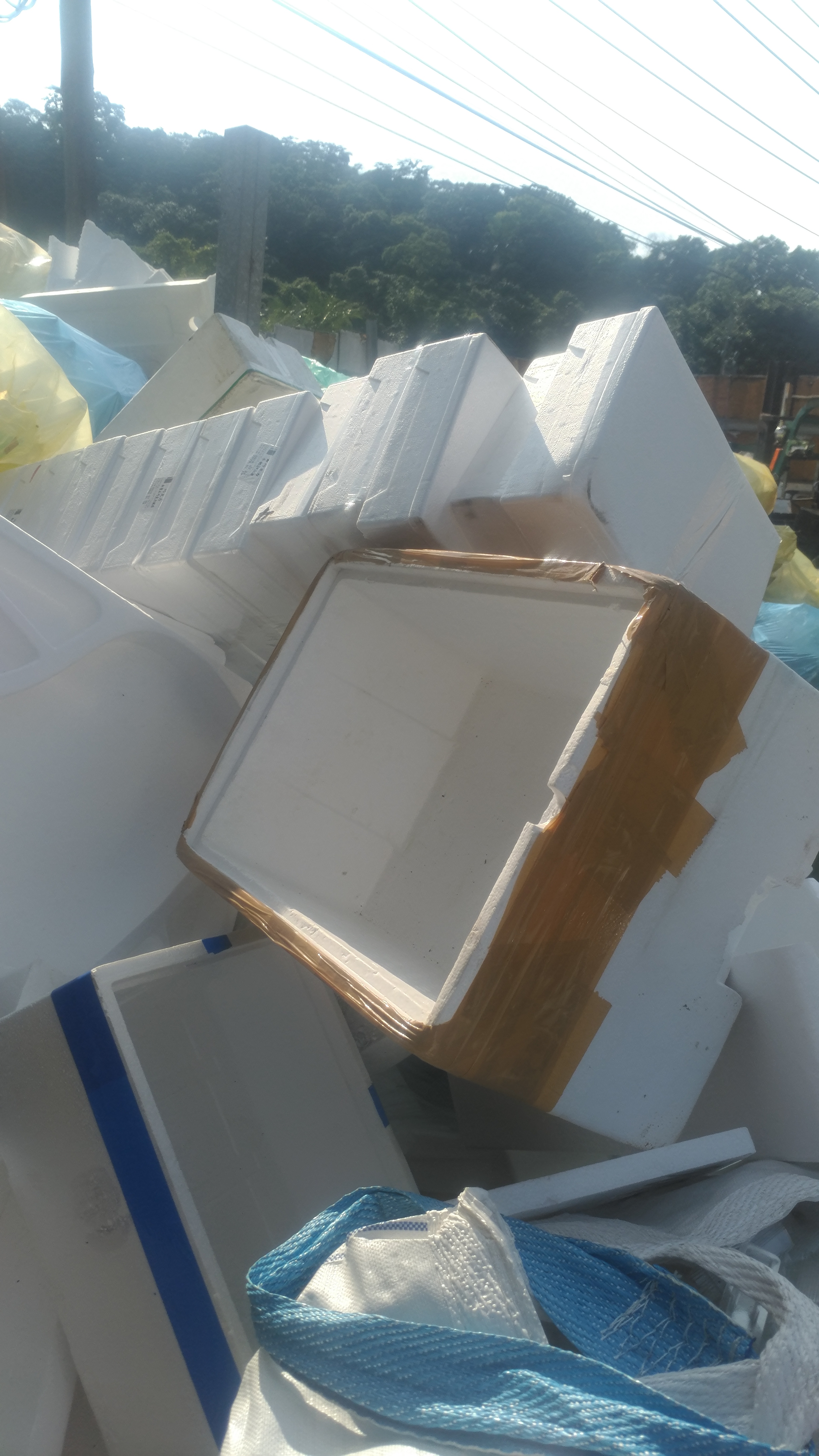 保麗龍回收-宏順環保工程有限公司