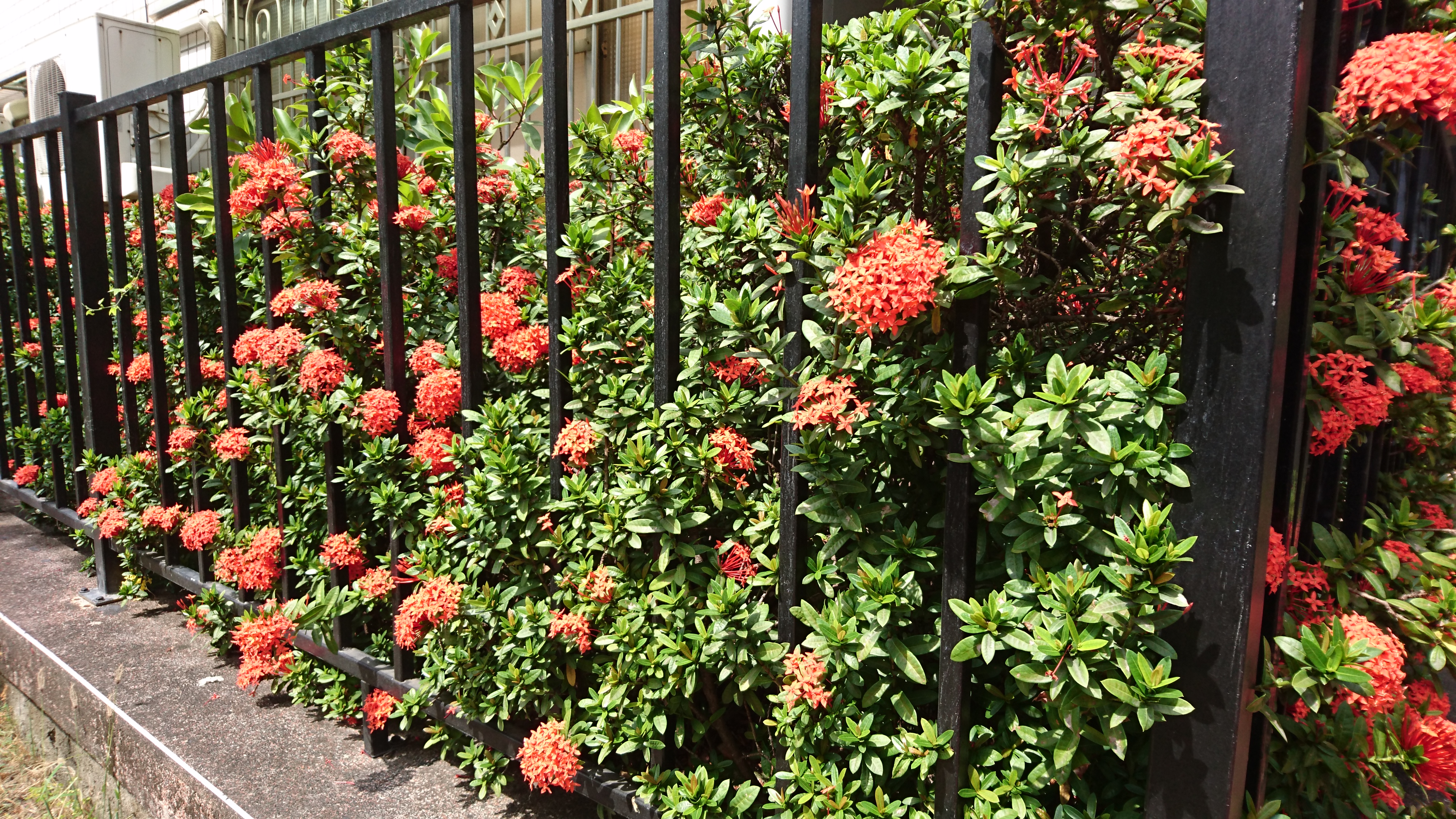 國人醫療輻射暴露量逐年增加!大家身體請保重-潘忠興