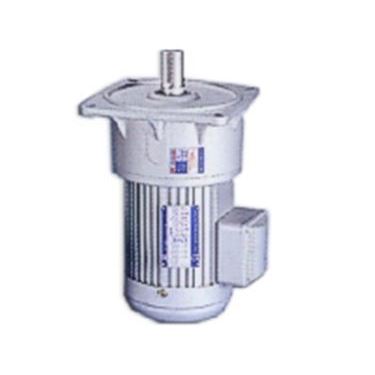 立式齒輪減速馬達