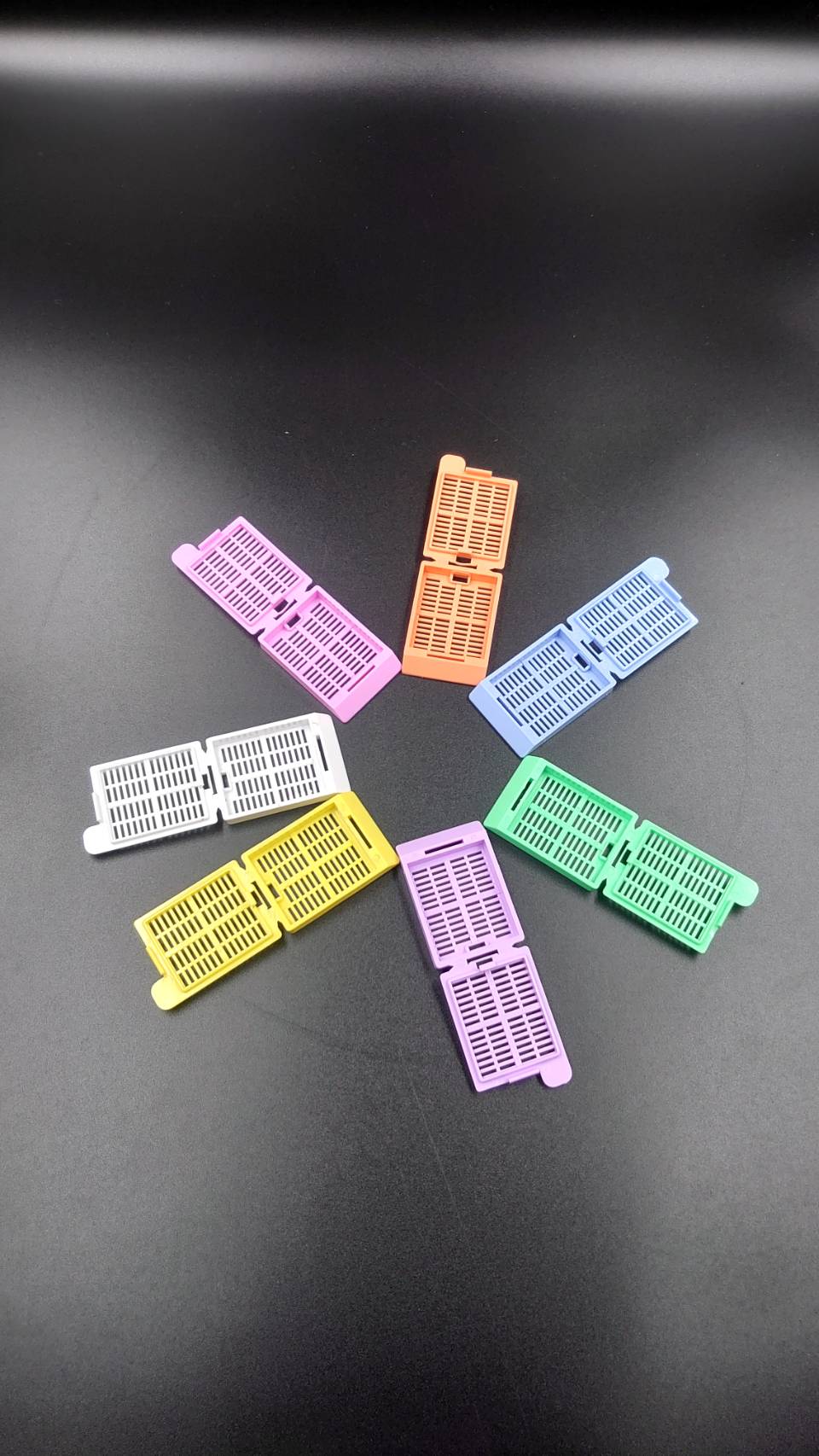 彩色組織包埋盒