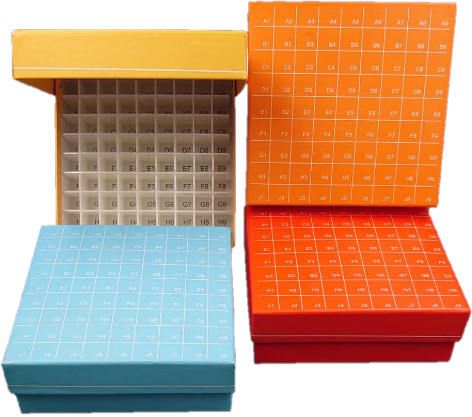 冷凍防水紙盒(彩色/掀蓋式)