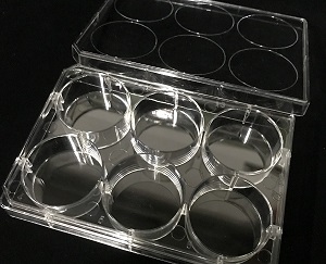 細胞培養分隔盤